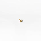 Birthstone charm November