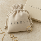 Noelle Jewelry pouch